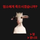 한국지엠신용암바로서비스 | 저는 하루하루가 시험이고 하루하루가 survival 입니다/오사카에서 후쿠이선돔가서 트레저보기