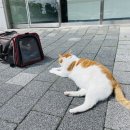 뮤동물병원 이미지