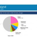 이앤에스헬스케어 이미지