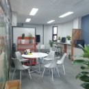 톰스개러지 이미지