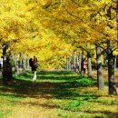 풍경힐링 이미지