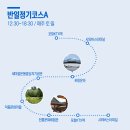 야간시티투어(토요일) 이미지