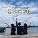 제8회 세계크리스마스문화축제 | 홋카이도 여행 7월 8월 삿포로 맥주축제 기간 패키지로 다녀오기!