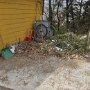 유한회사 다몸 이미지