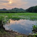 서포농장 이미지