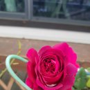 뽑기좋은날 이미지