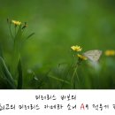 소니지우