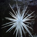 골드워시 이미지