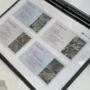 웰킨두피탈모센터 | 남천동두피관리 웰킨두피탈모센터 경성대점 후기 및 주차