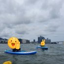 서퍼스 티스토리