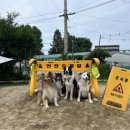 멍스 컨테이너 이미지