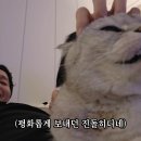 아이유 팬은 아니지만 유애나 캐릭터 디자인 맡게 된 웹툰 작가 인스스 ㅋㅋㅋ 이미지