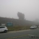 면천초교 이미지