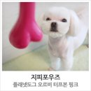 도그핑크 네이버블로그