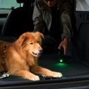 67세차장 | 에어르 차량용 청소기 에어건 무선 자동차 휴대용 강력 진공 핸디 차 미니 베놈 67%할인