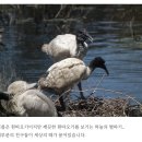 아이코닉몰 이미지
