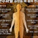 3대 영양소 부족하면 몸에서는 어떤 신호를 보낼까? 이미지