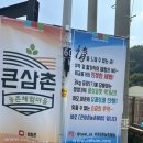 아이와 갈만한곳 양평 큰삼촌농촌체험 솔직후기