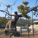 기찬농장 2 이미지