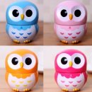 쿠킹가이 이미지