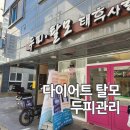 다이어트 탈모 두피관리시작 태후 사랑 무전점