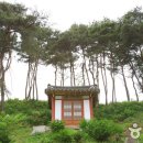 상그린로 이미지