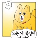 4 . 본격적인 퓨전리조트 깜란 디럭스 하이드어웨이룸 후기(+ 조식 , 퍼하탄, 몽옥 픽업 등 각종 후기)
