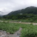 왜골민박 이미지