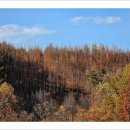 어게인 11월 이미지