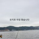 [모지포 전갱이][낫개방파제 전갱이] 낚시 이미지