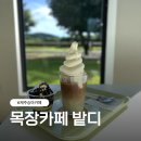 대안목장 | 성산일출봉 승마체험 데이트코스, 제주 목장카페 밭디 맛집 추천