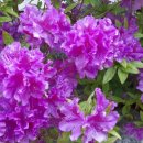 초원가든 이미지