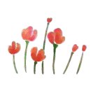 (주)프리즘인터내셔널