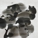 삼월의토끼