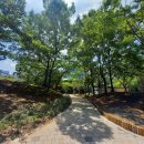 마재근린공원 이미지