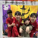 경희대튼튼태권도 이미지