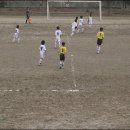 부여종합운동장 잔디구장 이미지