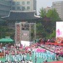 불기 2555년 부처님 오신날 행사~~동국대와 서울거리 연등축제 이미지