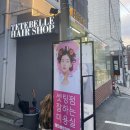 [이대 미용실] 이대 미용실 후기, 떼뜨베르