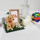 기억할개 이미지