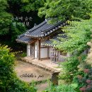 명승유통 | 강진 백운동 원림 | 비 오는 날 찾아간 고즈넉한 별서정원