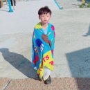 공룡고기&새우 이미지