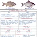 참붕어 - 평택시 서정북로 68 | 참붕어