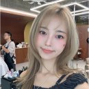 부헤어스토리