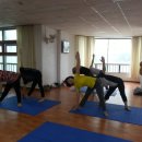 요가 오후반 이미지