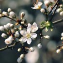 행복한IPARK공인중개사사무소 네이버블로그