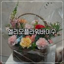 송파역 꽃집 헬리오플라워바이수 | 어버이날 카네이션 꽃바구니 후기