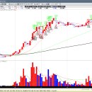 대주모터스 이미지