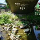 임초천 티스토리