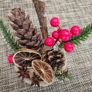 은혜농장 | 가족과 함께 떠난 베트남 여행(6박8일) 7일 째 후기